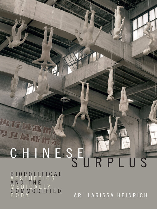 Title details for Chinese Surplus by Ari Larissa Heinrich - Available